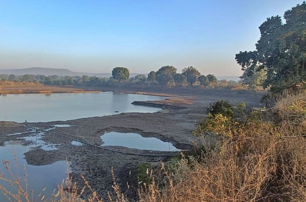 A Model Of Agricultural Transformation: NMDC’s Irrigation Project Doubles Farmers’ Income In Madhya Pradesh